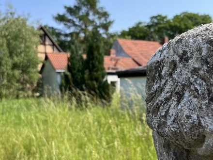 Kemberg - Bebautes Grundstück zum selbst verwirklichen in der Dübener Heide!