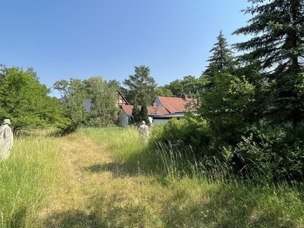 Kemberg - Bebautes Grundstück zum selbst verwirklichen in der Dübener Heide!