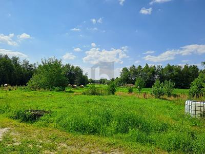 Westoverledingen - GRÜNE OASE MIT VIELEN MÖGLICHKEITEN