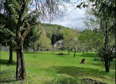 Sonneberg - IDYLLE, RUHE UND VIEL PLATZ