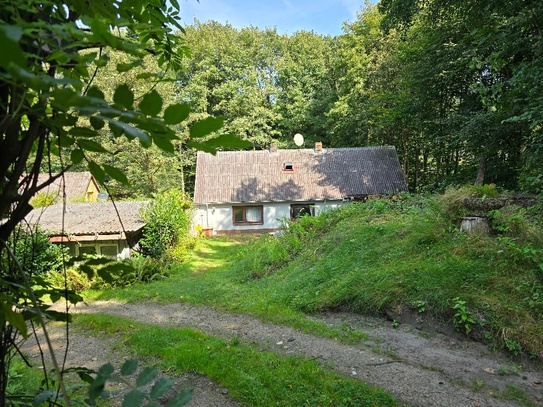 Husum - **Seltene Waldrandlage für Naturliebhaber**