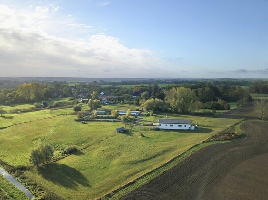 Ankershagen - HORN IMMOBILIEN+ Rumpshagen bei Penzlin, Alpakafarm mit Wohnhaus, Stall, Tierbestand + 9 ha Land