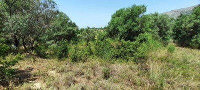 Plataria - Schönes Baugrundstück am Ortsrand Hanglage