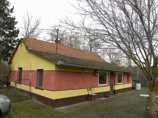 Kiskunmajsa - In Ungarn 70 m2 Bauernhaus mit 2 ha Land