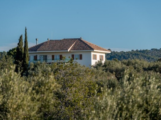 Tarragona - Finca mit Olivenplantage