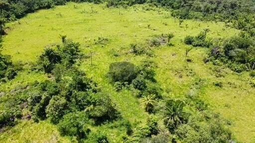 Silves - Tiefpreis Grundstück 1000 Ha mit Rohstoffen in Brasilien