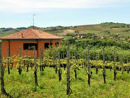 Montecalvo Versiggia - Ferienhaus