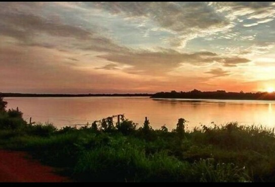 Goiania - Fazenda mit 203000 ha und 120000 Rinder in Brasilien