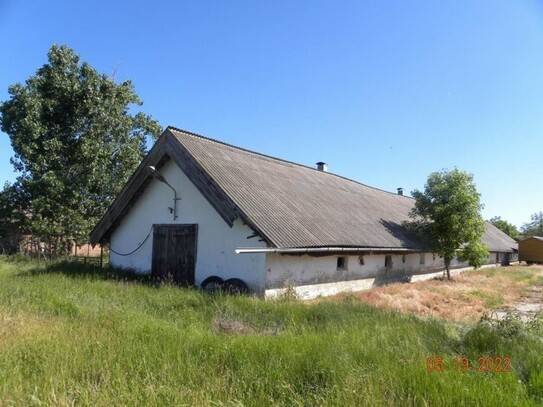 Szentes - In Ungarn 2ha Bauernhof neben der Theiß mit 1000 m2 Stall