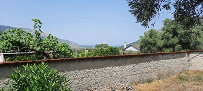 Plataria - Baugrundstück mit Olivenbäumen Griechenland