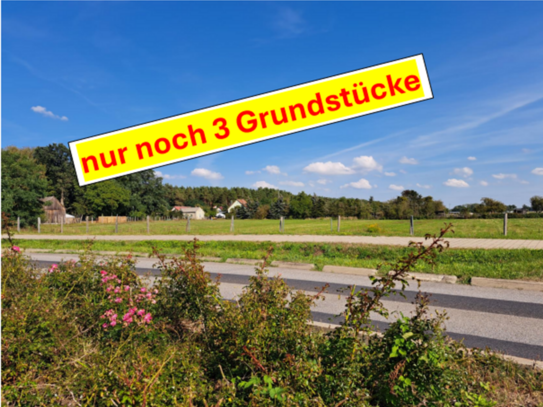 Gründheide OT Kagel - BAUTRÄGERFREIE GRUNDSTÜCKE IN GRÜNHEIDE - OT. KAGEL