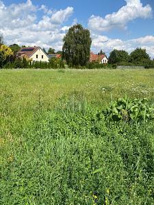 Plau am See - ZWISCHEN NATUR UND STADT  IHR NEUER LEBENSRAUM