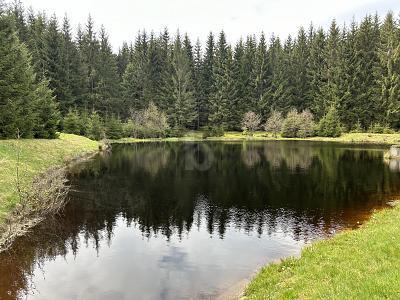 Marienberg - VIEL PLATZ IN LANDSCHAFTLICH BESTER LAGE