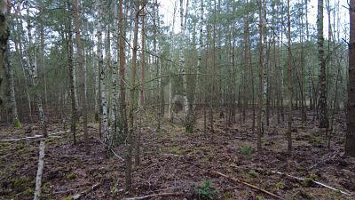 Kummersdorf - IHR TRAUM IM GRÜNEN UMFELD WIRD WAHR