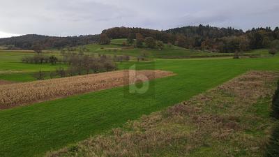 Sexau - EIN FELD MIT SCHÖNSTER AUSSICHT