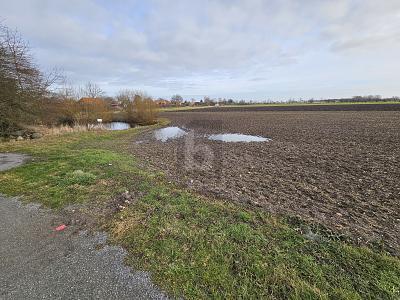 Fehmarn - GROßZÜGIGE BAUFLÄCHE NAHE DER OSTSEE MIT TEICH