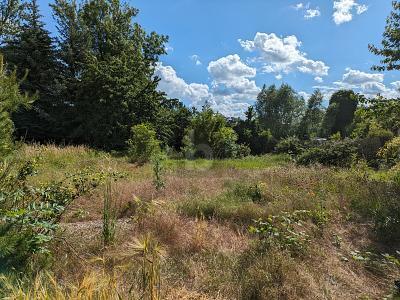 Wiedemar - FAMILIENIDYLL IN RUHIGER LAGE