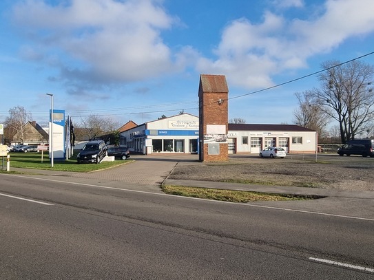 Mieste - Gut gehendes Autohaus mit Werkstatt an der B188 aus altersgründen zu verkaufen!