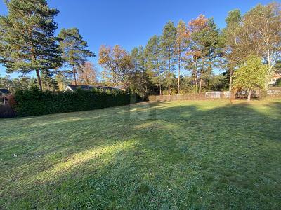 Groß Schönebeck (Schorfheide) - SONNENVERWÖHNTE UND RUHIG+TEILUNG MÖGLICH