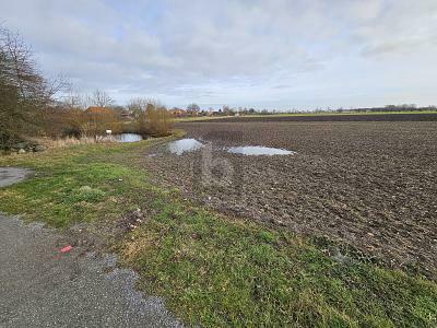 Fehmarn - HERRLICH GELEGEN MIT TEICH UND POTENZIAL