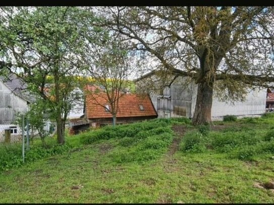 Bebra - Bebra-OT, Landhaus + Pferdehof