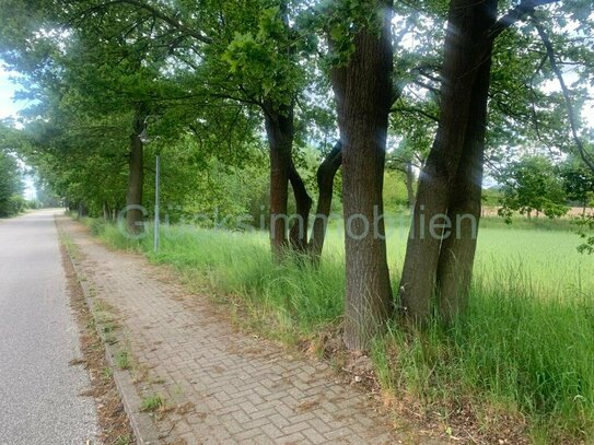 Dannenwalde - Top Gelegenheit - Baugrundstück(e) in Dannenwalde