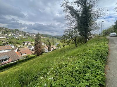 Lörrach - GRUNDSTÜCK IN BESTER AUSSICHTSLAGE