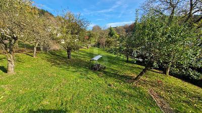 Wald-Michelbach - GROß UND GÜNSTIG