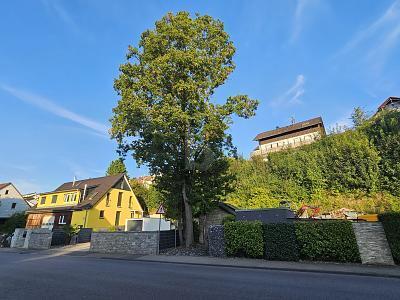 Steinheim an der Murr - VIELSEITIGER RAUM FÜR LEBEN UND ARBEIT IN TOP-LAGE