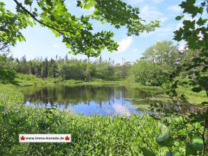 West Arichat - Cape Breton - Grand Lake - Tolles 19-Hektar-Areal mit herrlichem Mischwaldbestand, schönem Süßwasser-Tei…