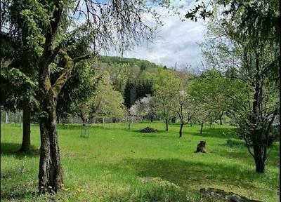 Sonneberg - IDYLLE, RUHE UND VIEL PLATZ