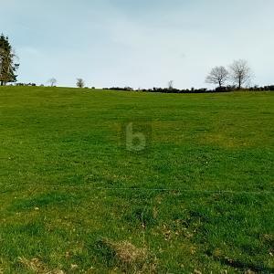 Burbach - BAUEN AUF ERWEITERBARER FLÄCHE