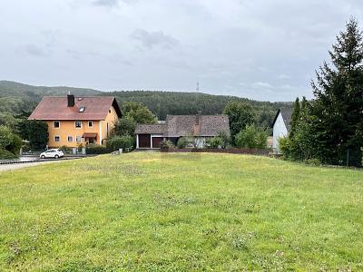 Maxhütte-Haidhof - RUHIG UND FLEXIBEL BEBAUBAR AM HANG