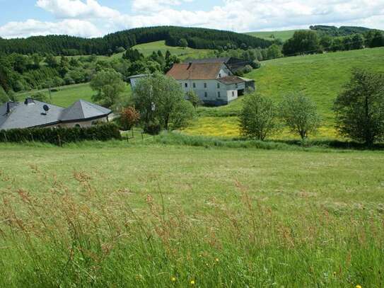 Neuendorf - Grundstück zu verkaufen in Neuendorf 32.000,00 ? 937 m²