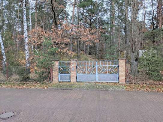 Muldestausee - Positiver Vorbescheid: Idyllisches Baugrundstück nahe des Muldestausees