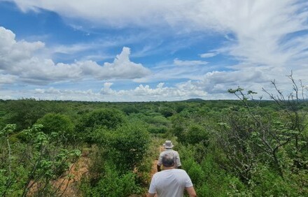 Arripiada - Brasilien 560 Ha grosses Tiefpreis-Grundstück