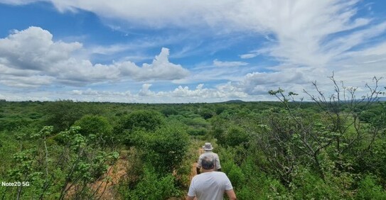 Arripiada - Brasilien 560 Ha grosses Tiefpreis-Grundstück