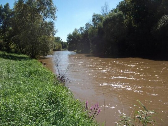 Sarvar - Am Fluss Raab auf eigenem Ufer und Grundstück ungestört sein