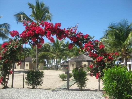 Canavieiras Bahia - Kleines Boutique Hotel direkt am tropischen Sandstrand
