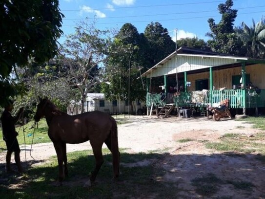 Tefe - Brasilien 1535ha Ziegelfabrik Rohstoffen-Mine Manaus