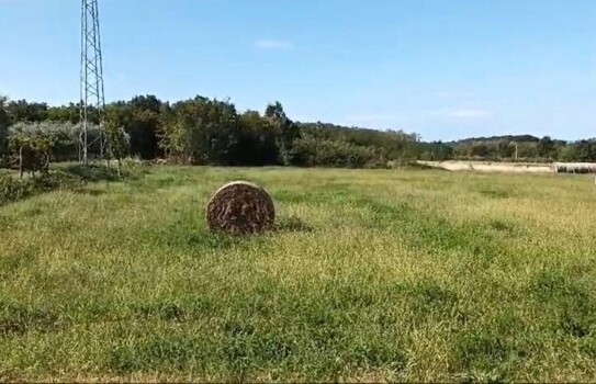 Brtonigla - LANDWIRTSCHAFTLICHES GRUNDSTÜCK 7596 M2 ISTRIEN