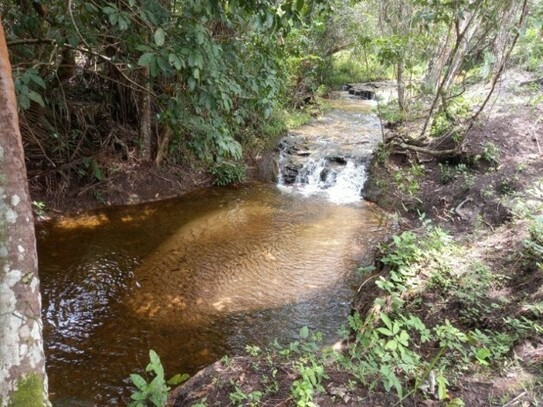 Caxias - MA - Fazenda mit 1067 ha mit natürlicher Vegetation in Brasilien