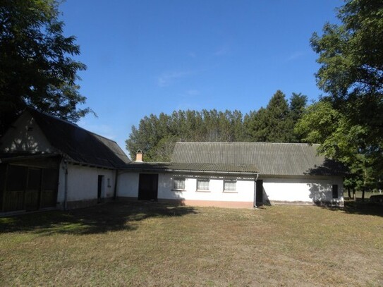 Kiskunmajsa - Bauernhaus 96 m2 mit 1 ha Land in Ungarn