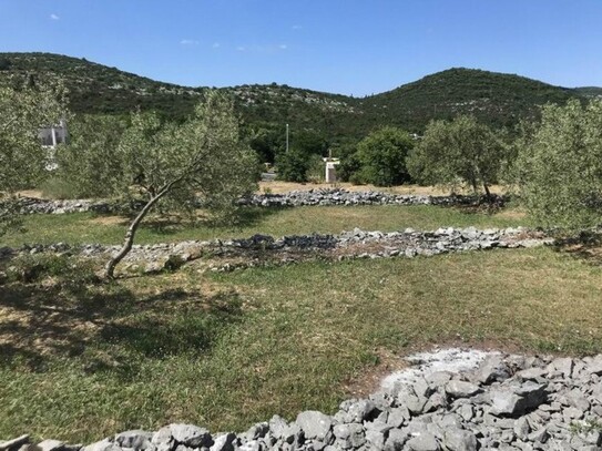 Ston - Baugrundstück zu verkaufen