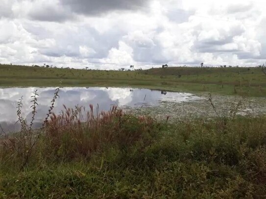 Carauari - Brasilien 224000 ha grosses Grundstück