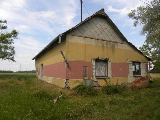 Csánytelek - In Süd-Ungarn zu renovierendes Bauernhaus mit 4 ha Land