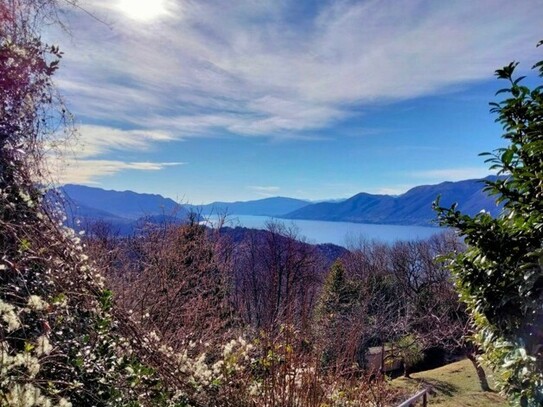 Dumenza - Baugrundstück mit Wochenendhaus am Lago Maggiore