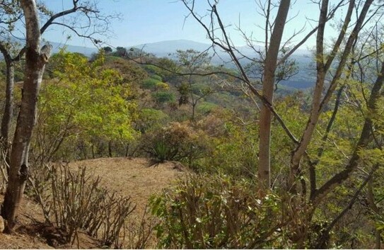 Alajuela - Grosses Anwesen mit wunderschöner Aussicht in Costa Rica