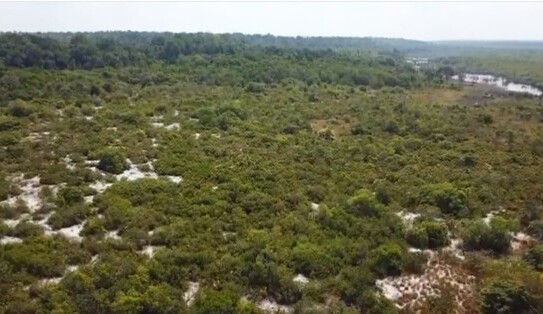 Manaus - Brasilien 1000 Ha Grundstück in der Nähe von Manaus