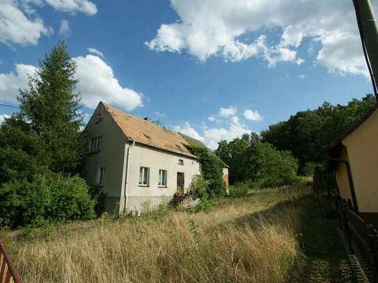 Belgern-Schildau - Unweit Dahlener Heide - Idyllisch gelegenes Grundstück zur Neubebauung